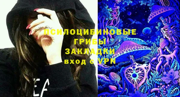 гашиш Богданович